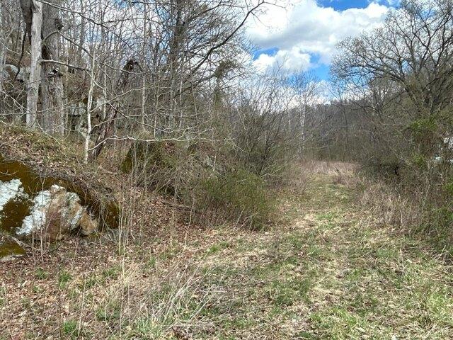Land for sale in Crown City
