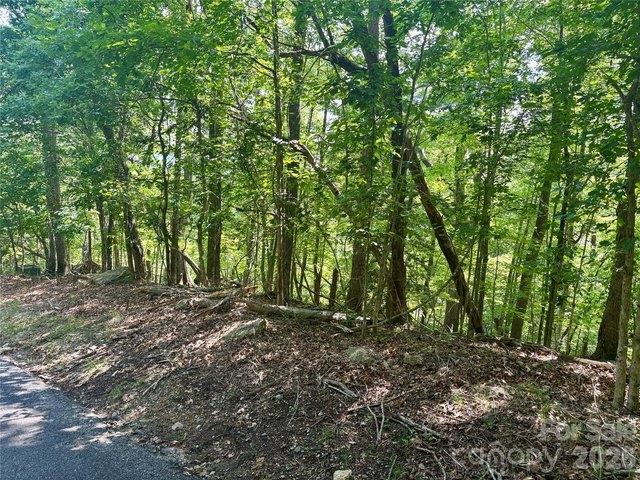Land for sale in Rutherford, North Carolina