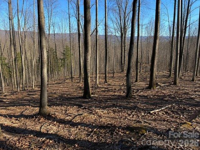 Land for sale in Yancey, North Carolina
