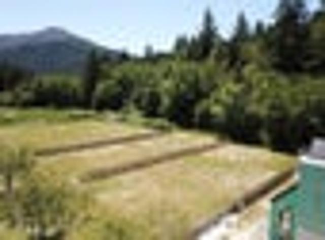 Land for sale in Hanmer, Canterbury