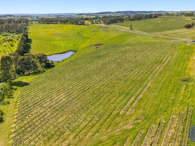 Land for sale in Young, Hilltops Council