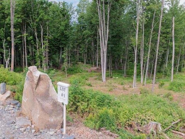 Land for sale in Craftsbury, Vermont