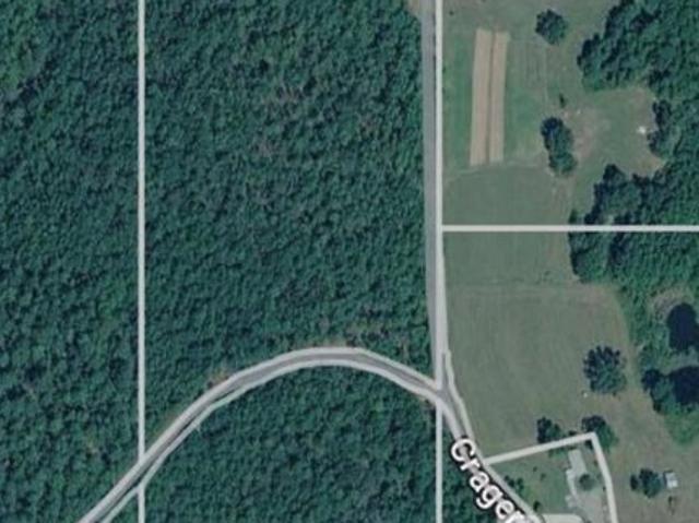 Land for sale in Chatom, Alabama