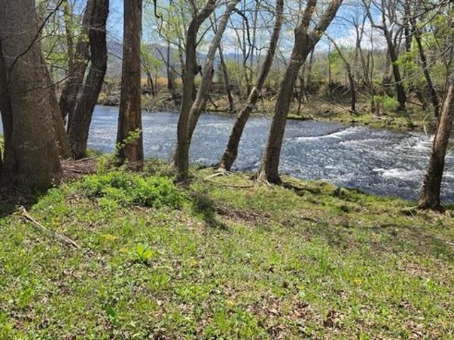 Land for sale in Virginia