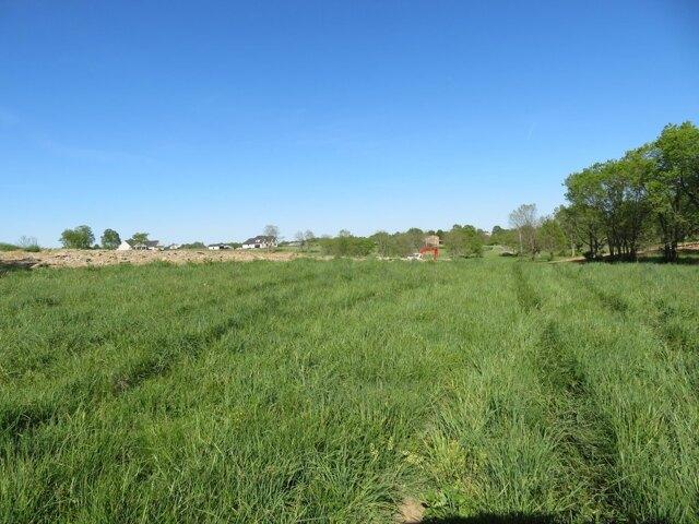 Land for sale in Winchester