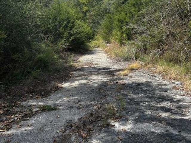 Land for sale in Lewisburg, Middle Tennessee