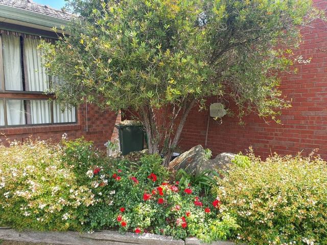 Room for rent in Camerons Creek, Victoria