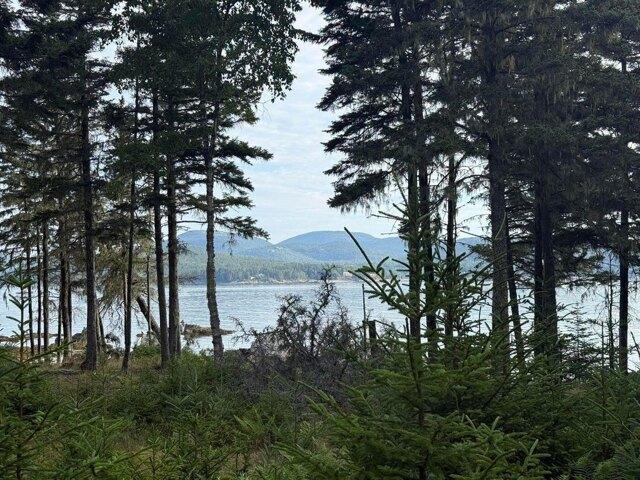 Land for sale in Cranberry Isles, Hancock County