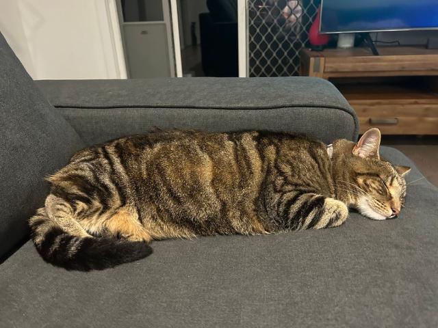 Room for rent in Cranbourne East, Melbourne