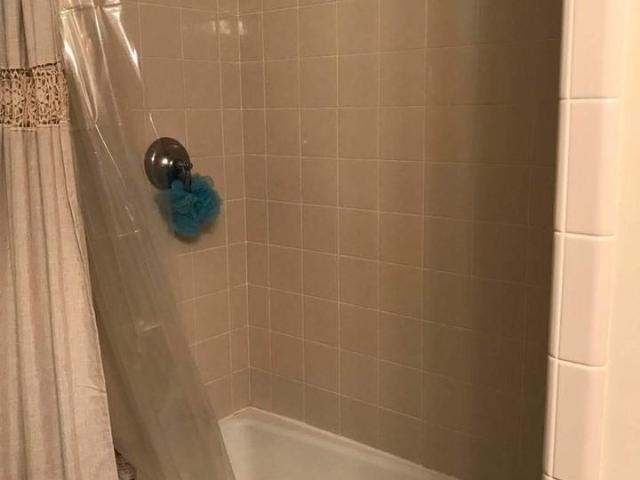 Apartment for rent in San Luis Obispo