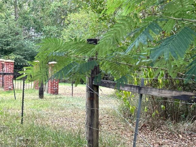 House for sale in Grand Bay, Alabama