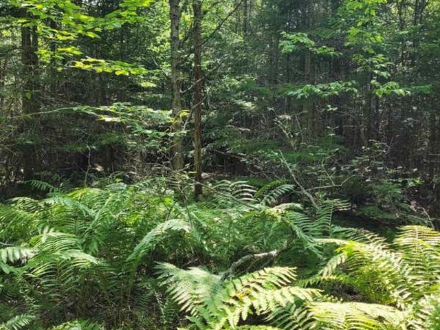 Land for sale in Port Hawkesbury, Nova Scotia