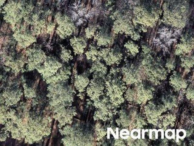 Land for sale in Columbia, South Carolina