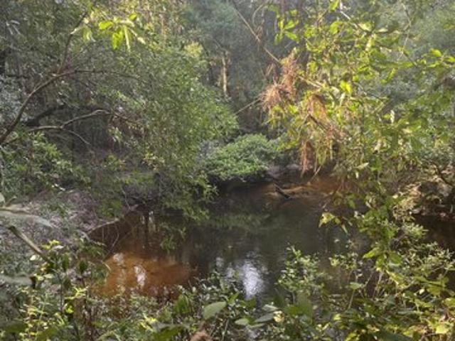 Land for sale in Perkinston, Mississippi