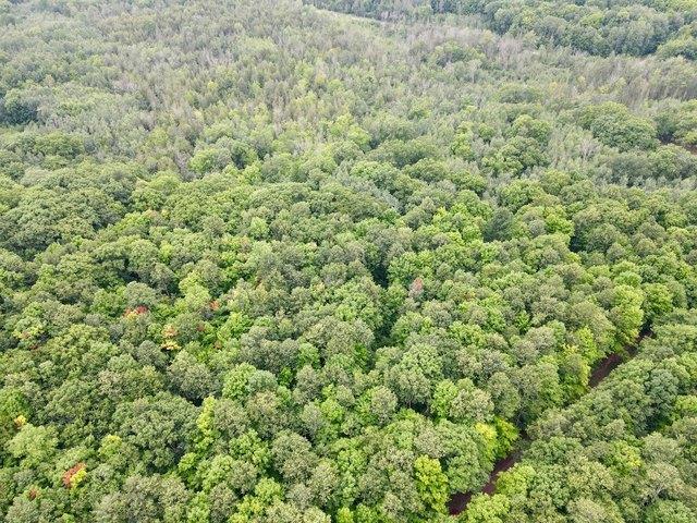 Land for sale in Wisconsin