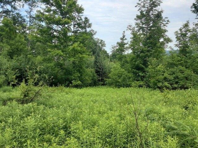 Land for sale in New Hampshire
