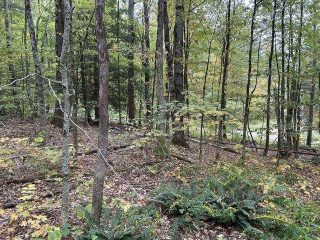 Land for sale in Townshend, Vermont