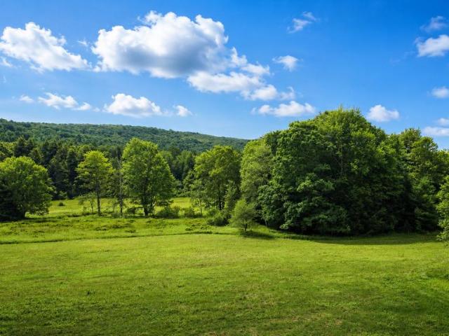 Land for sale in Garrett, Maryland