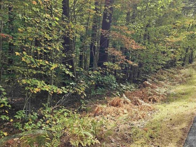 Land for sale in New Hampshire