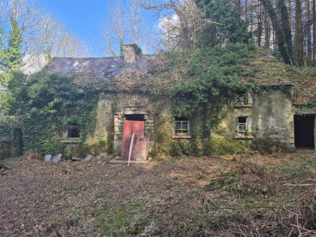 Farm for sale in Borris
