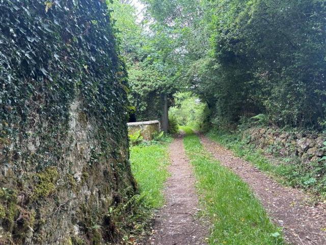 Farm for sale in Borris Farm for sale in Borris