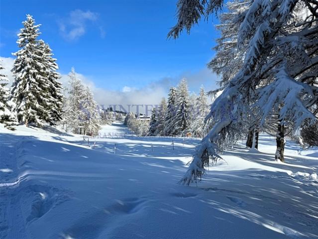 Wohnung kaufen in Crans-Montana, Wallis