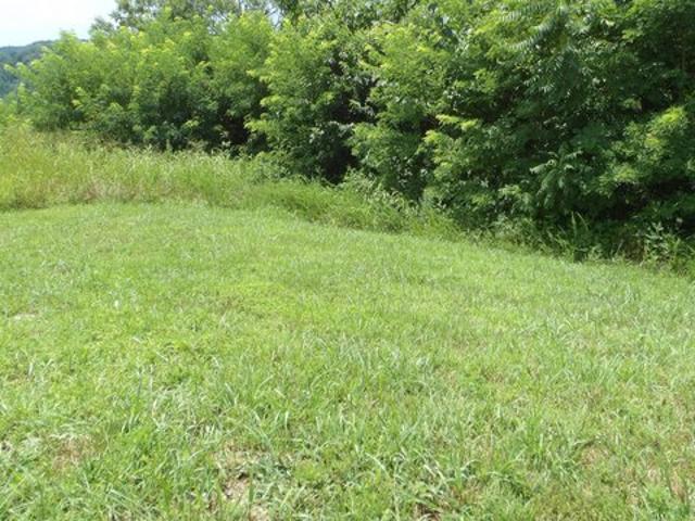 Land for sale in Tennessee