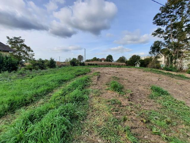 Terrain vente à France métropolitaine, Guadeloupe