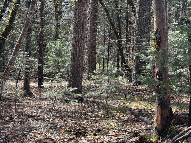 Land for sale in Mccloud, California