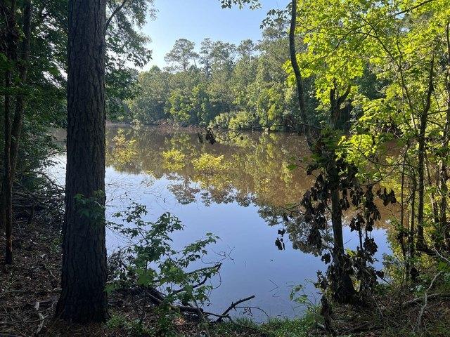 Land for sale in Silsbee, Texas