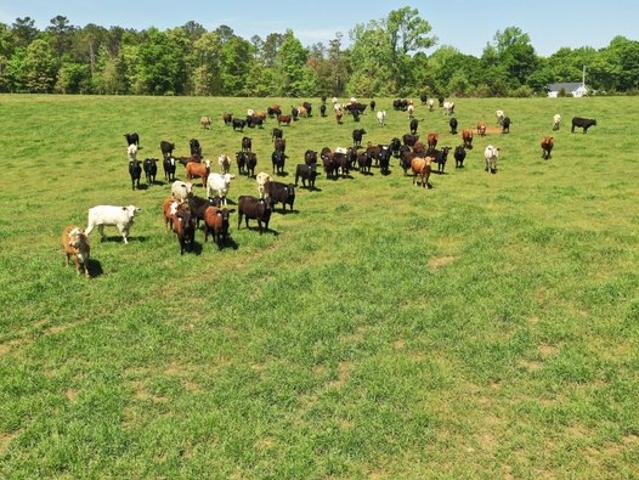 Land for sale in Due West, South Carolina