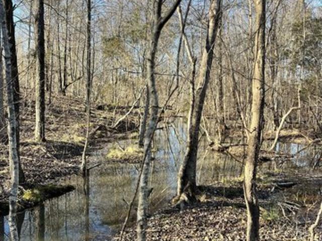 Land for sale in White Plains, Georgia