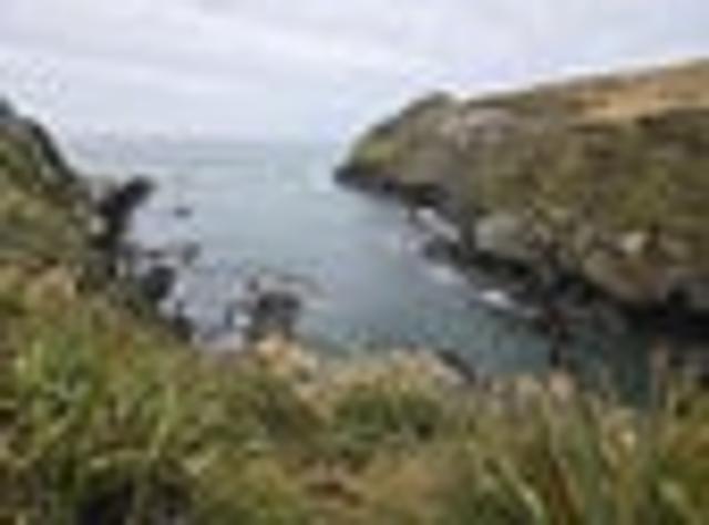 Land for sale in Otakou