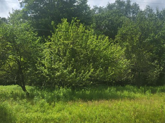 Property for sale in Bethel, New York