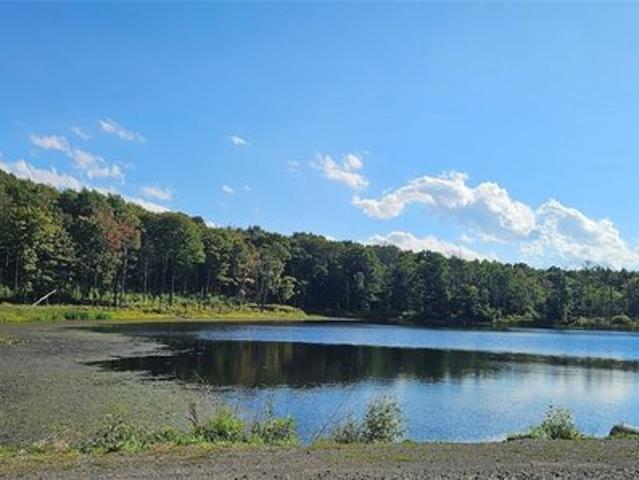 Land for sale in Town of Richford, Tioga County