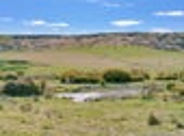 Land for sale in Maniototo Community, Central Otago District