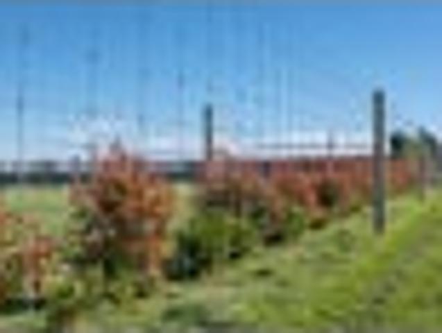 Land for sale in Canterbury