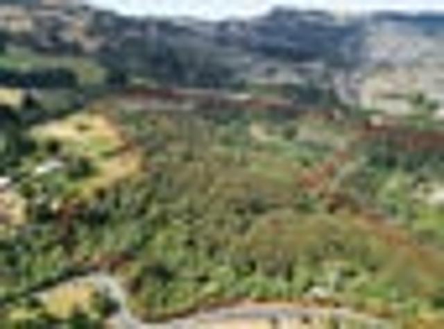 Land for sale in Otakou