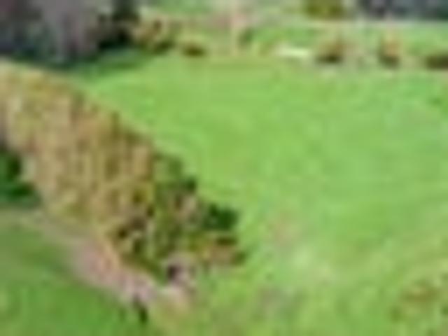 Land for sale in Raumai