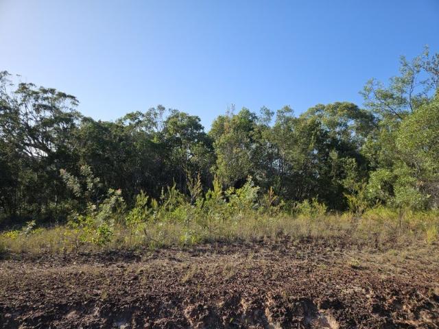 Land for sale in Toombul, Queensland