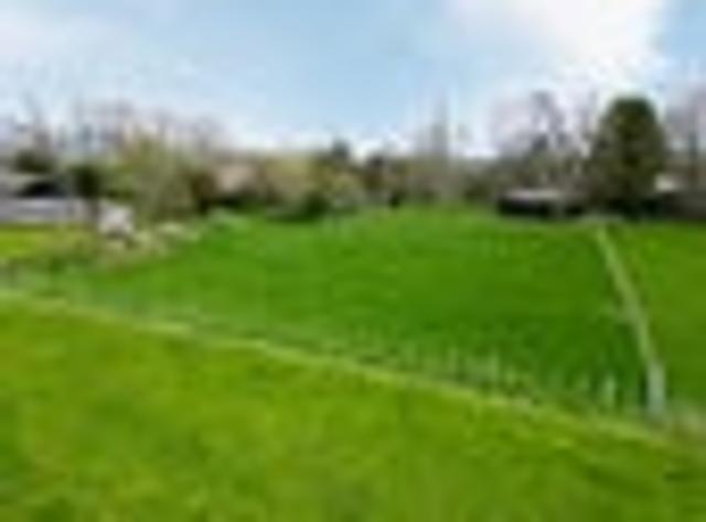 Land for sale in Waikato