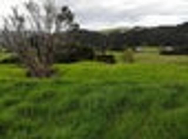 Land for sale in Kawau Island