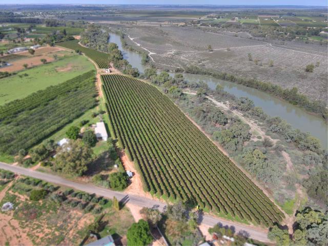Property for sale in Renmark, South Australia
