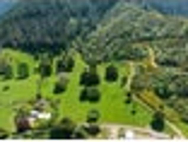Land for sale in Marlborough District, Marlborough