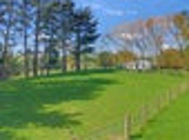 Land for sale in Ormondville, Tararua District