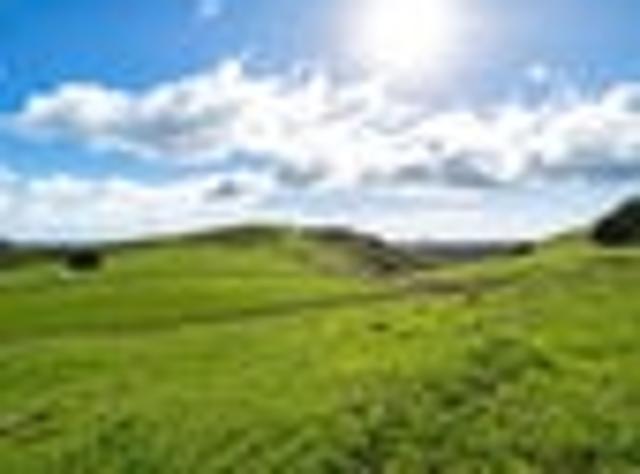 Land for sale in Bay Of Plenty