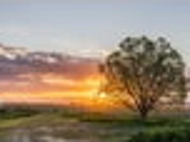 Land for sale in Meeanee, Napier City
