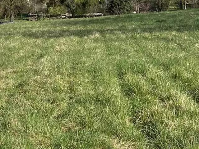 Terrain vente à Crécy-la-Chapelle, Seine-et-Marne