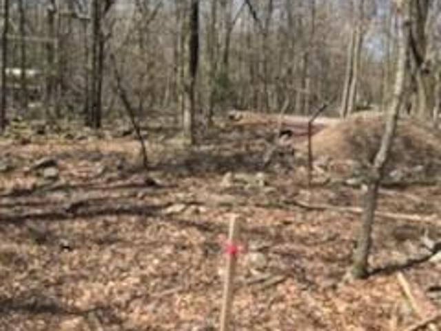 Land for sale in Carbon, Pennsylvania