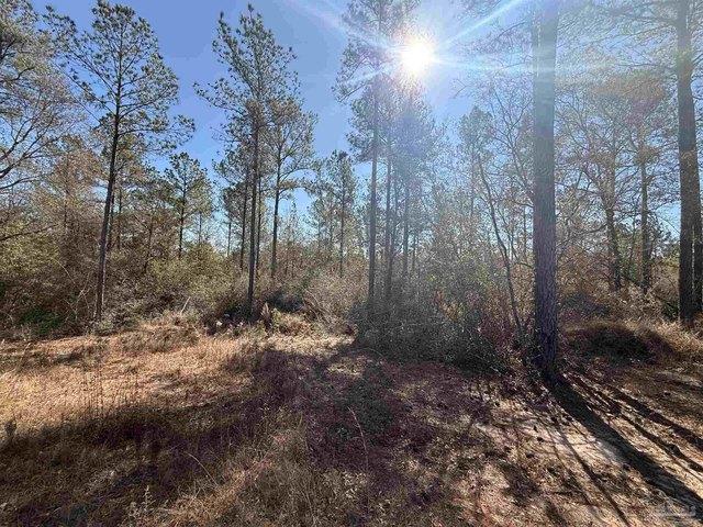Land for sale in Pace, Florida